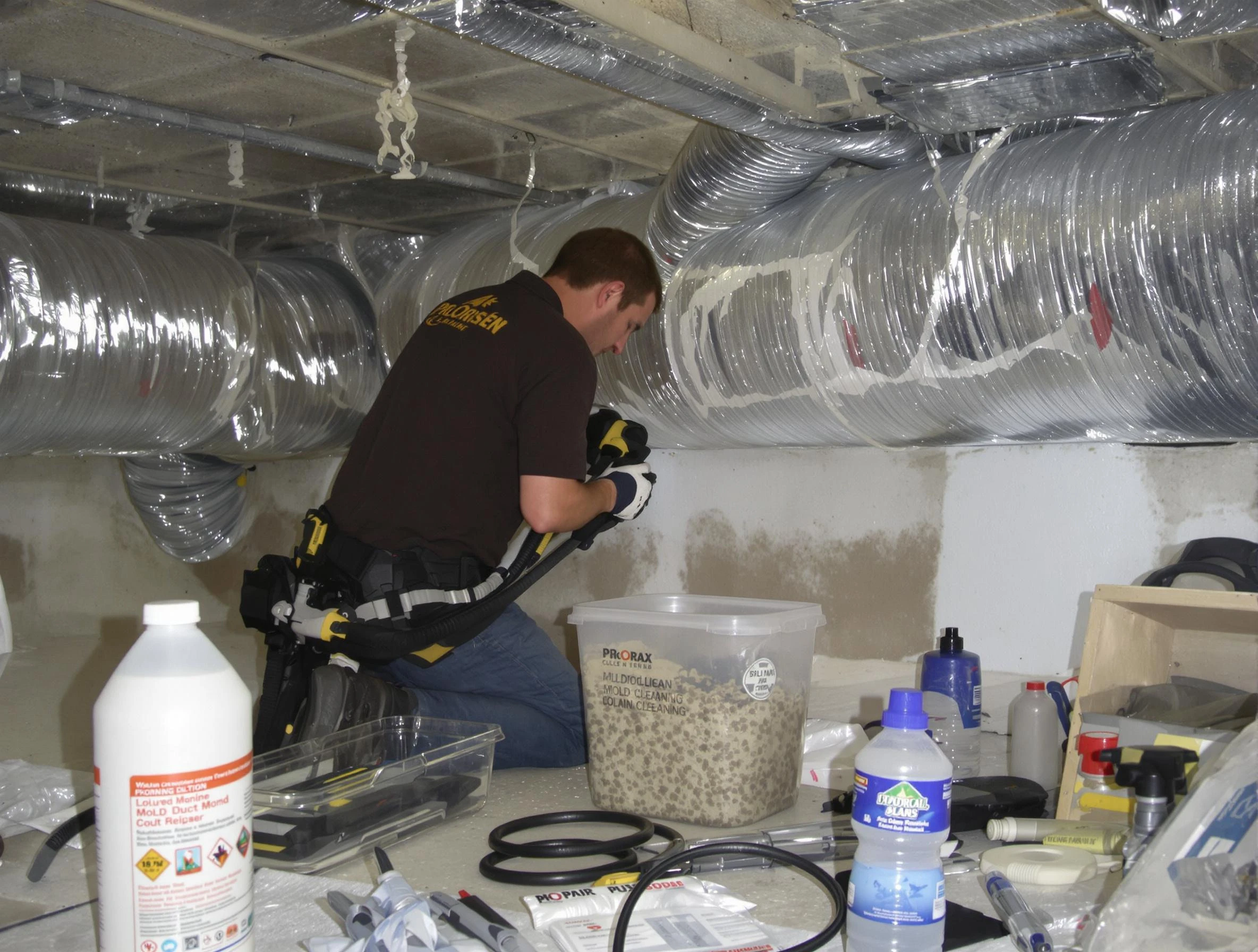 Meridian Air Duct Cleaning specialist performing professional mold removal from air ducts in Meridian